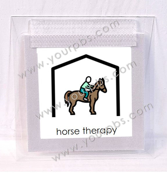 Horse Therapy