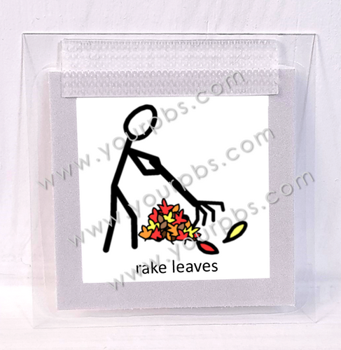 Rake Leaves