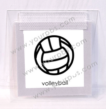 Load image into Gallery viewer, Volleyball