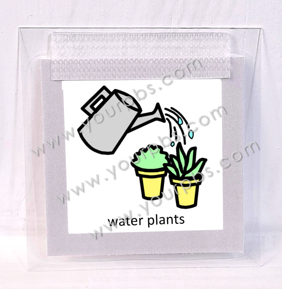 Water Plants